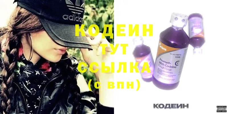 Кодеиновый сироп Lean Purple Drank  Правдинск 